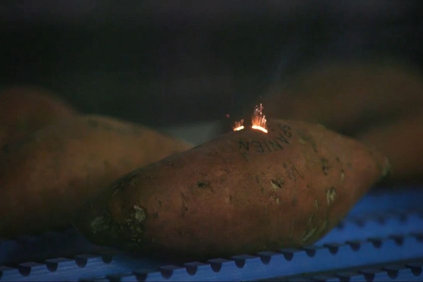 Hoe avocado’s en aardappels worden gelaserd