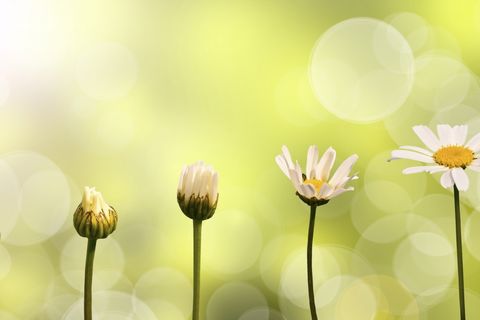 ​Dit zijn de bouwstenen van een betekenisvol merk