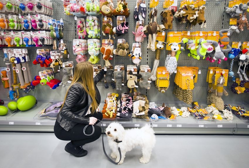 Pets Place denkt aan honden- en kattenhotel