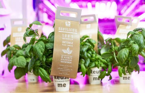 Colruyt verkoopt kruiden uit zelfontwikkelde 'vertical farm' 