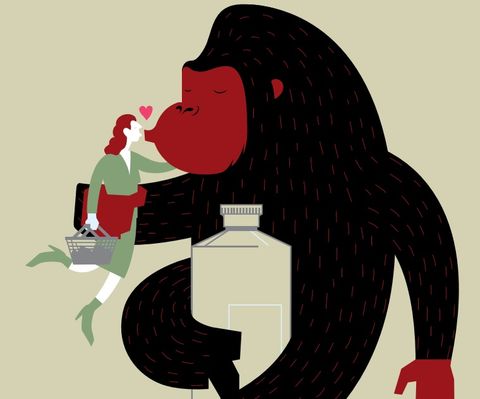 Wat retailers van apen kunnen leren