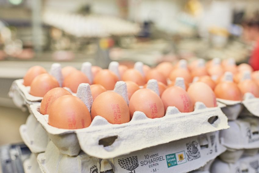 Picnic en Albert Heijn pakken eierketen aan
