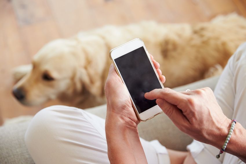 Dierspecialist 'digitaliseert' huisdier in app