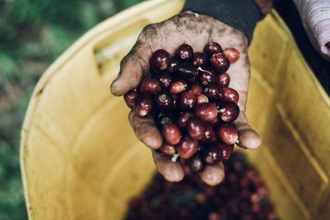 Hoe foodmerk Fairtrade Original bouwt aan zijn missie