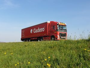 Houtwebshop Gadero volledig in private equity-handen