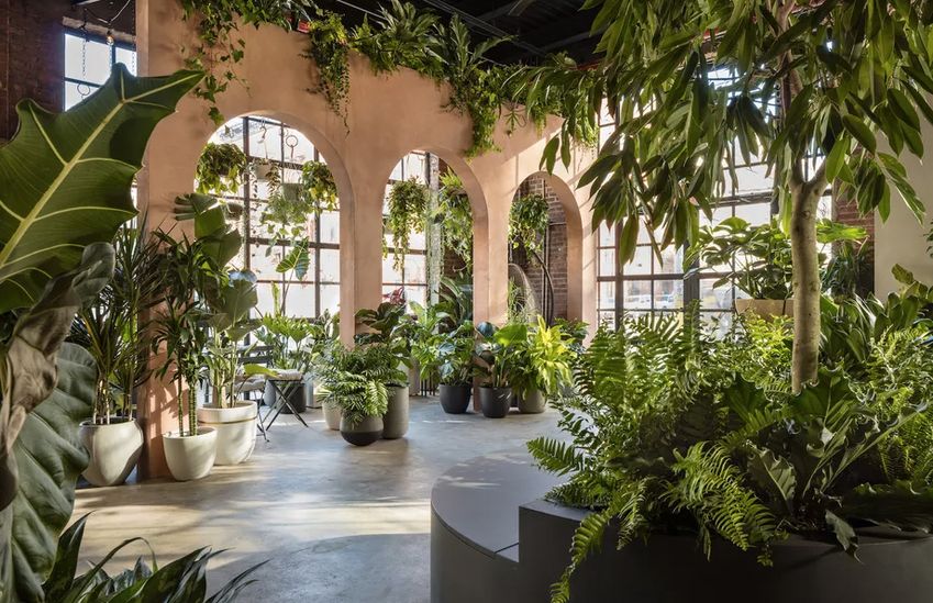 Welkom in de groenste winkel van New York