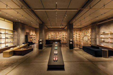 Het AR-vlaggenschip van Hogan