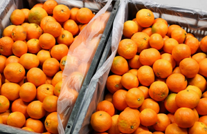 Instock komt met onlinemarktplaats tegen voedselverspilling