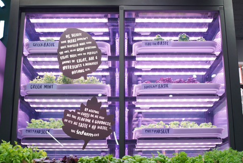 Marks & Spencer teelt verse kruiden in Londense winkels