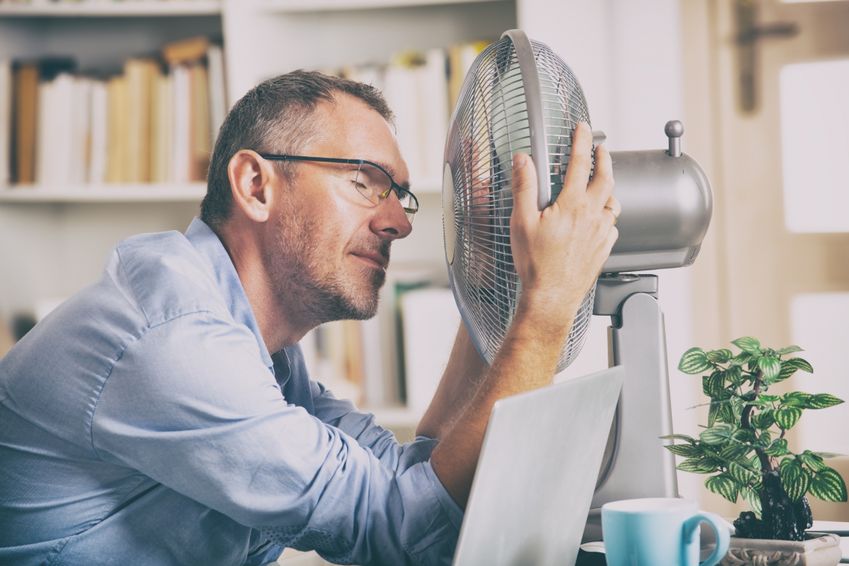 De week in vijf berichten over de ongekende hitte
