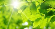 Green branding: wat je wel (en niet) vertelt
