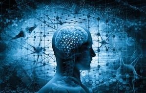 'Neuromarketing is voor grote retailers onmisbaar'