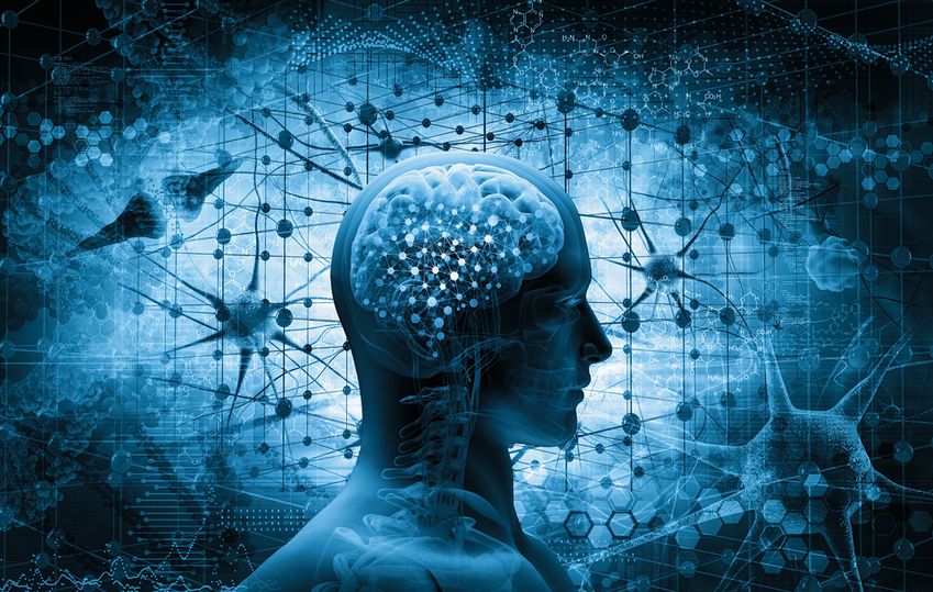 'Neuromarketing is voor grote retailers onmisbaar'