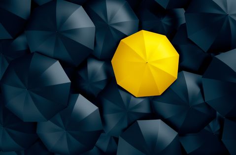 Failliet en door (maar dan wel onder de oude paraplu)