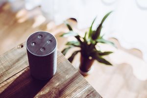 Zo groot wordt conversational commerce