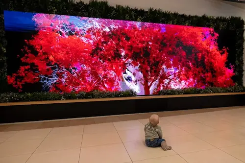 DOBIT Business Developer Retail afbeelding