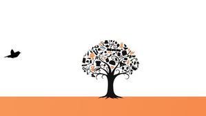 Hoe gaat het nu met V&D?