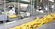Wordt de fabrikant een concurrent van de supermarkt?