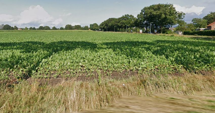 Raad van State laat streep door bedrijventerrein Venray in stand