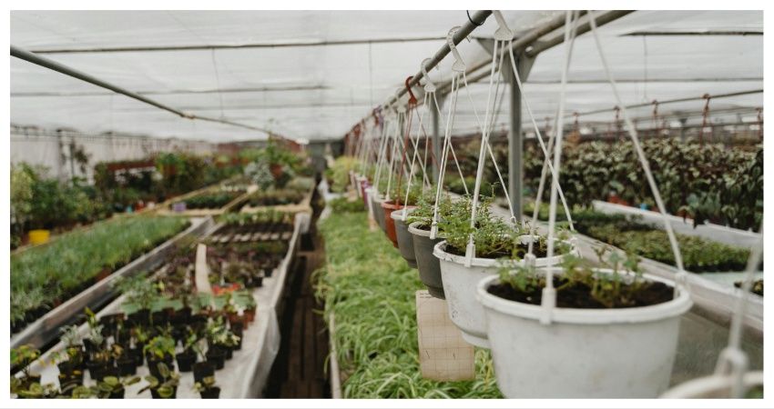 Hoge Raad schept duidelijkheid over de consolidatieregeling in de overdrachtsbelasting