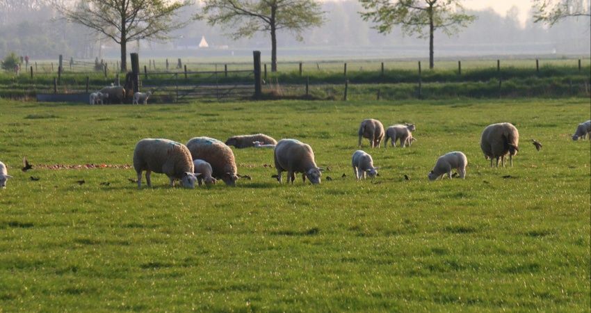 Grondbedrijven: 'Systeem als planbatenheffing is wèl nodig'