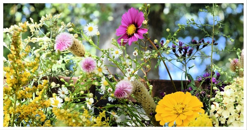 2 tips om de verkoop van je woning te bevorderen met je tuin