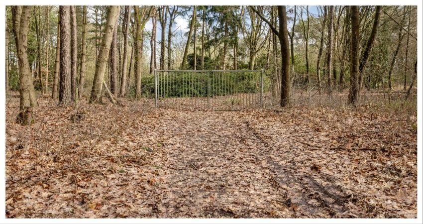 Bedrijfscomplex en kavel van failliete Sjan van Ettekoven geveild