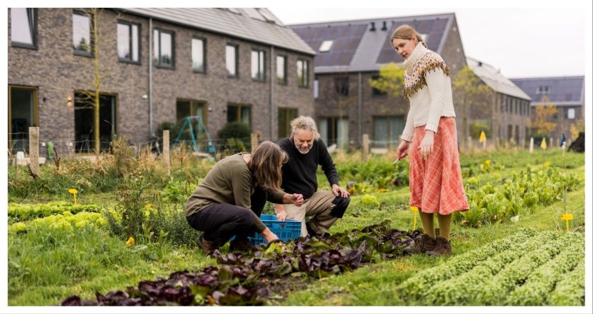 AM en NL Greenlabel gaan samenwerken