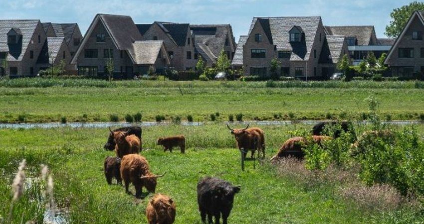 Private afspraken niet genoeg: Amsterdam moet exploitatieplan Bloemendalerpolder behouden