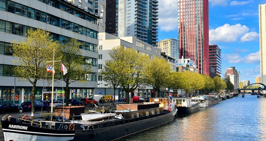 Rotterdam zoekt 1000 hectare groen en blauw in kleine ingrepen