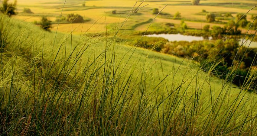 De Gruyter en Ten Vergert reageren gemengd op nieuwe plannen voor grondbeleid