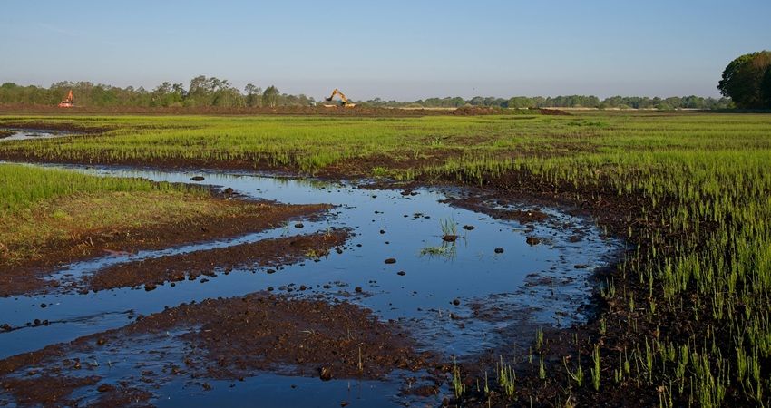 Ambtenaar voor rechter om frauduleuze aankoop van gemeentegrond