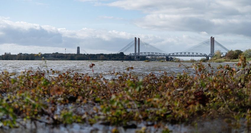 Sweco Nederland ziet omzet met 14 procent stijgen in sterk eerste kwartaal