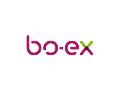 Stichting Bo-Ex &#39;91 logo