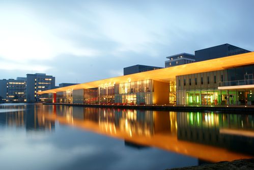 Senior Asset Manager  afbeelding
