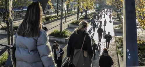 Juridisch adviseur Erfpacht afbeelding