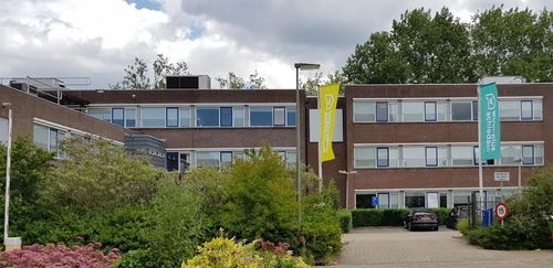 Senior Dagelijks Onderhoud afbeelding